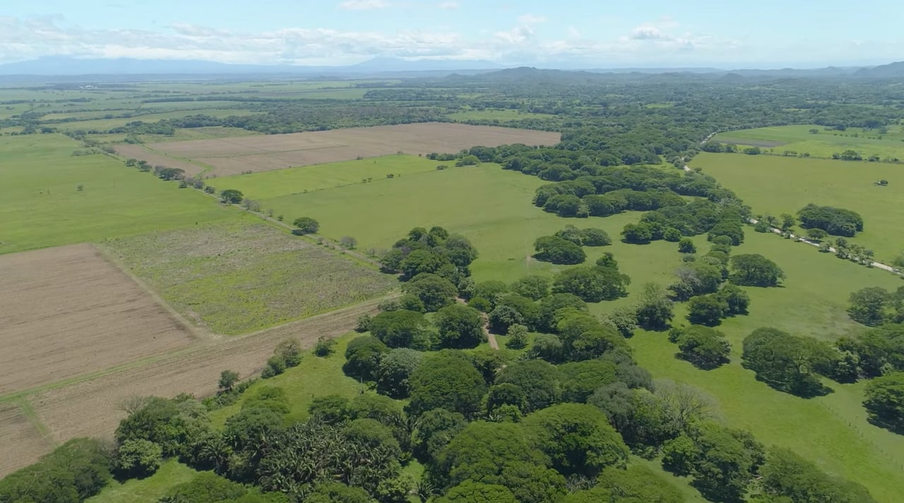 Strategic Cattle Ranch Development, Tamarindo, Guanacaste
