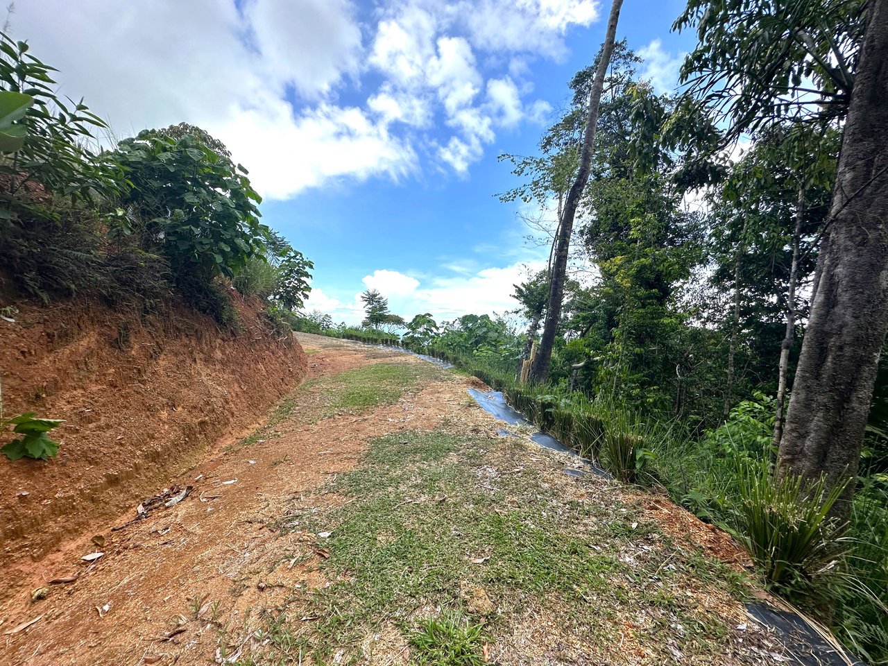 11.24 Acres With Two Stunning Ocean View Building Sites In Cinco Ventanas! Ojochal (Cinco Ventanas, Puntarenas, CR - 60504)