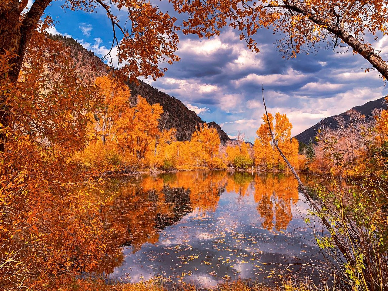 A Kaleidoscope of Autumn: Chasing Fall Colors Across Colorado