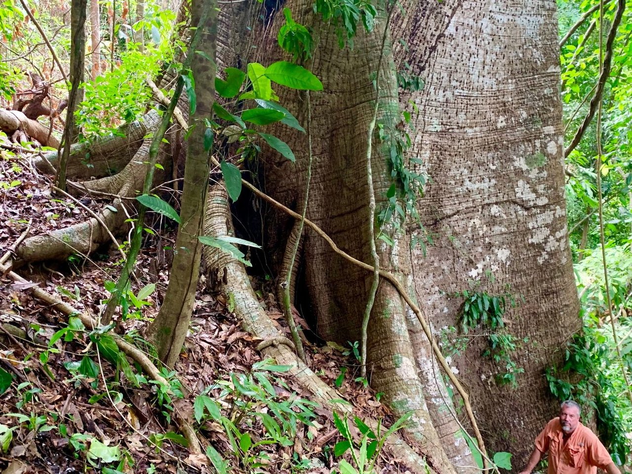 Triple Waterfall Ocean View Land, Dominical, Puntarenas