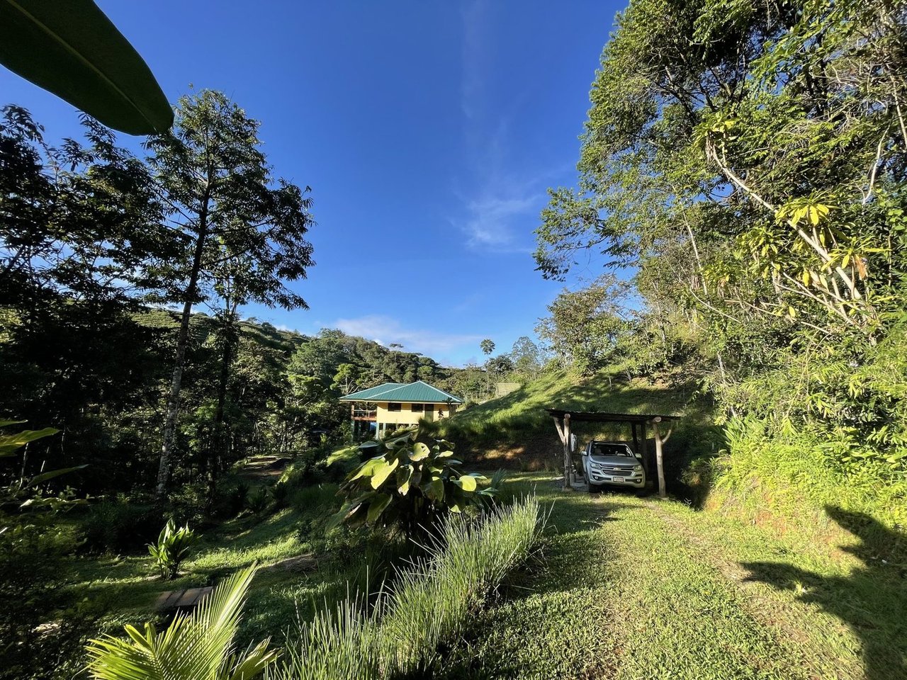 Riverfront Permaculture Farm, Perez Zeledon, San Jose