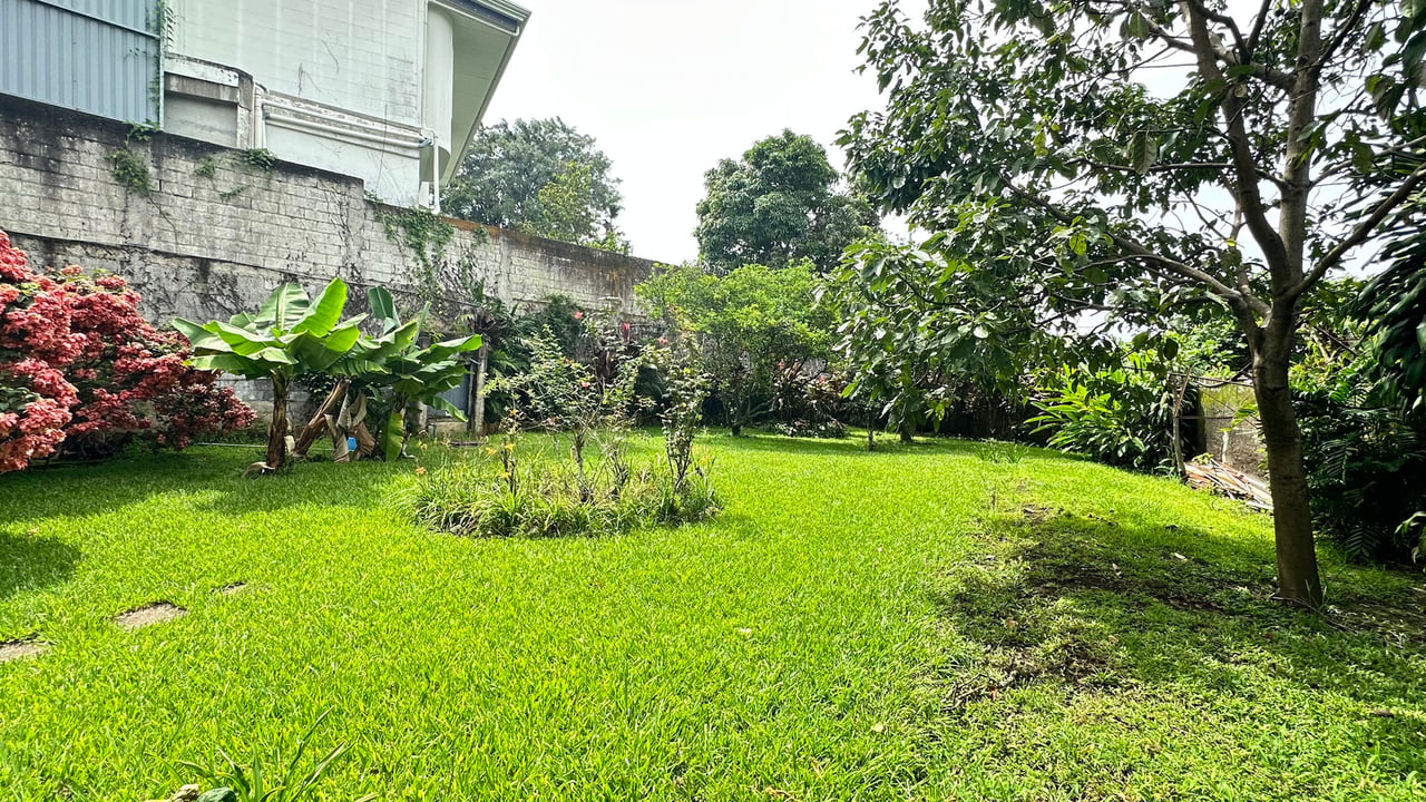 Colonial Development Opportunity, San Jose