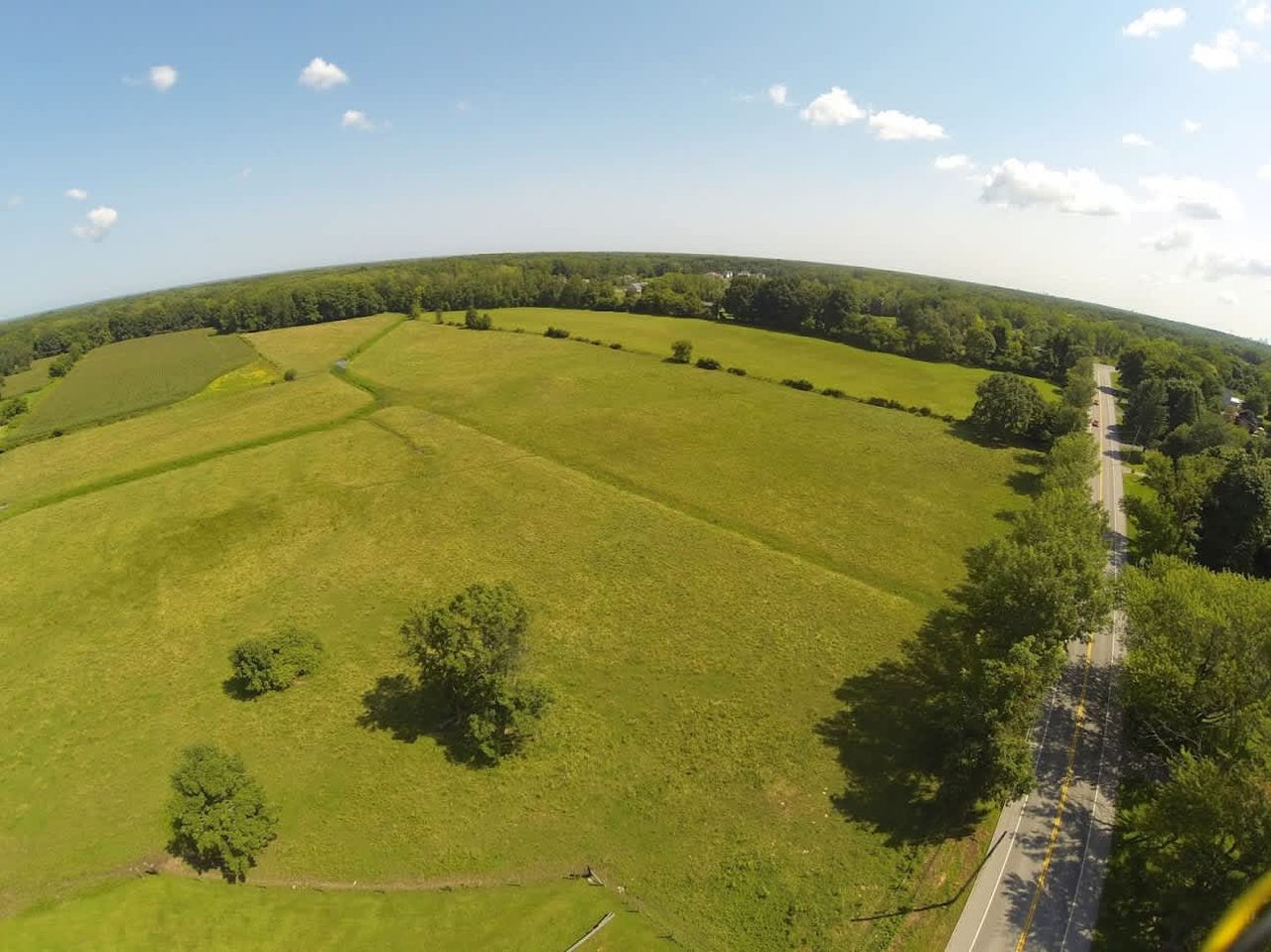 Cattle & Equine Farm