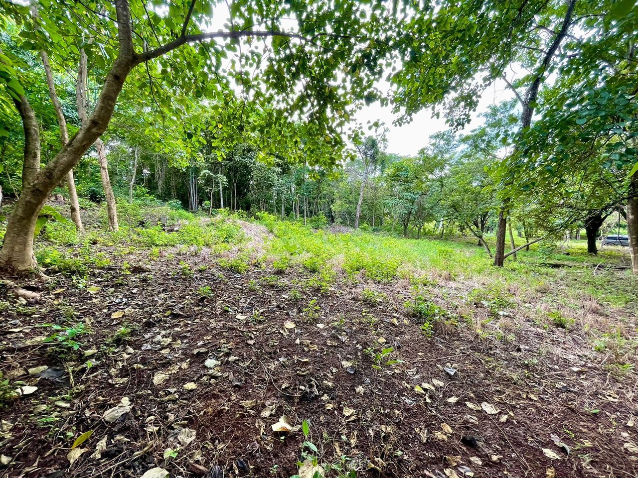 Private Tropical Building Lot, Tamarindo, Guanacaste