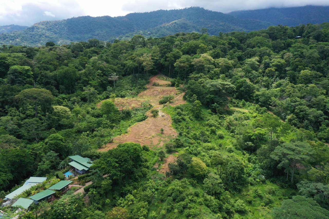 15.9 ACRES – Ocean View Development Property With Legal Water, Public Road, 5 Min From Highway!