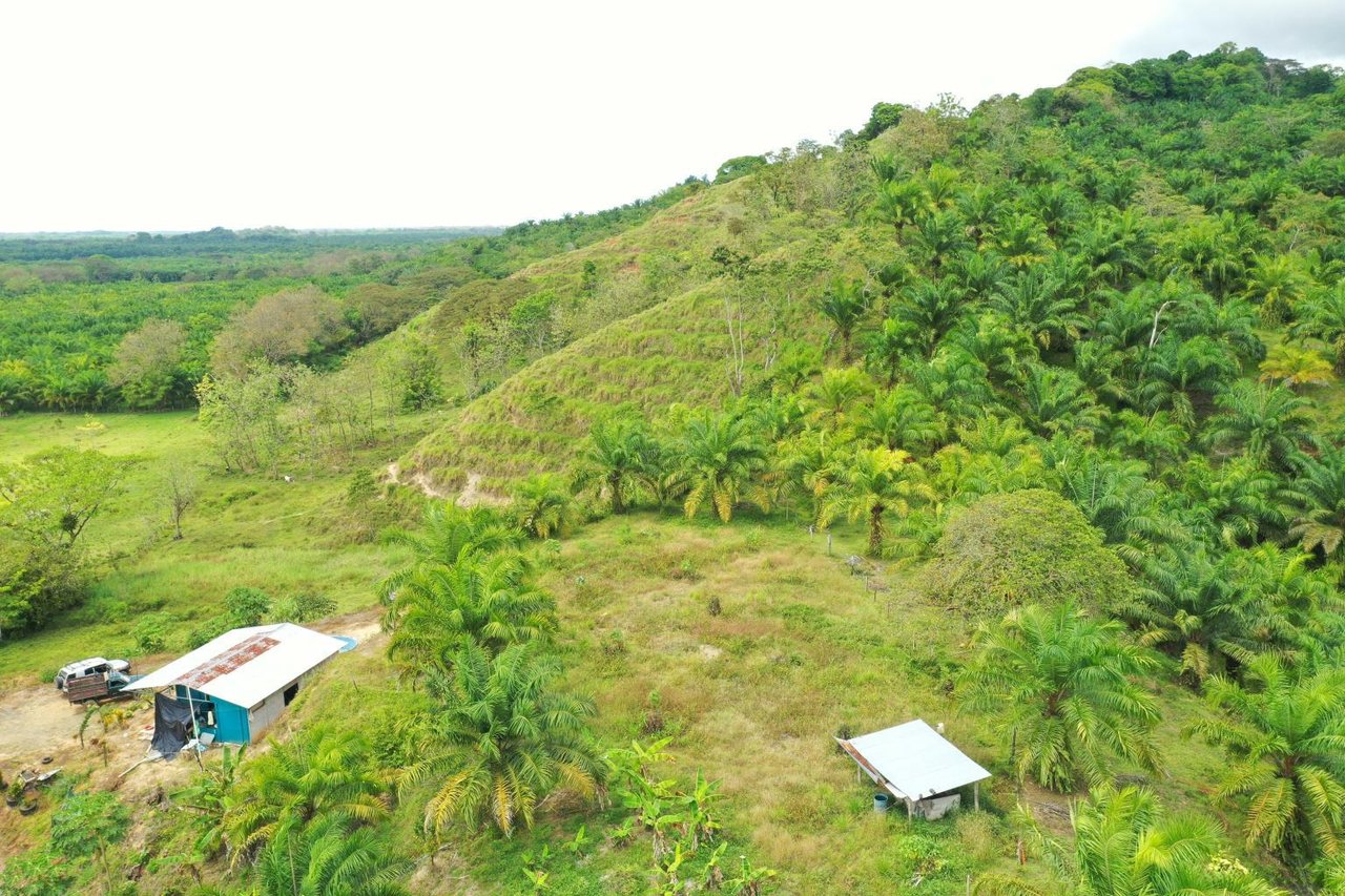 Prime 286-Acre Ocean View Property for Sale Near Quepos, Costa Rica – Ideal for Development