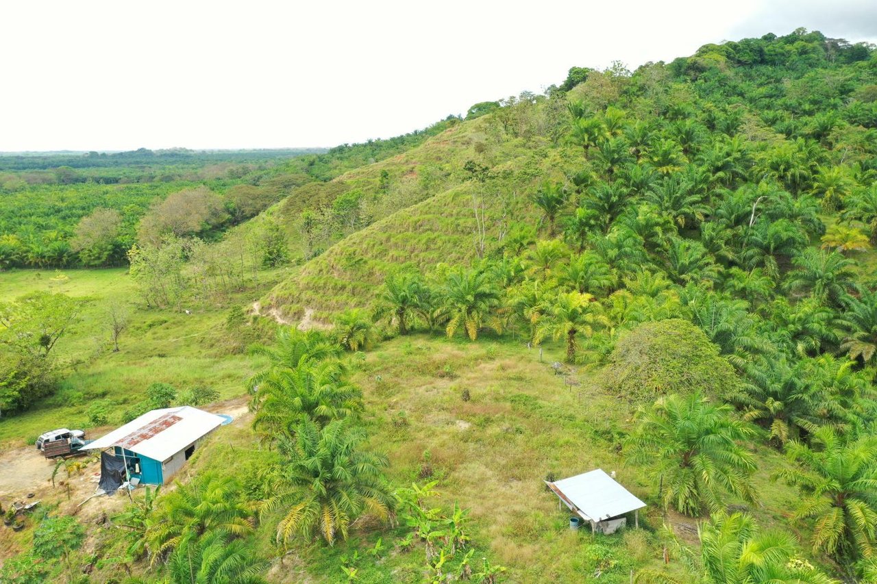 Ocean view land 286 acres near Quepos