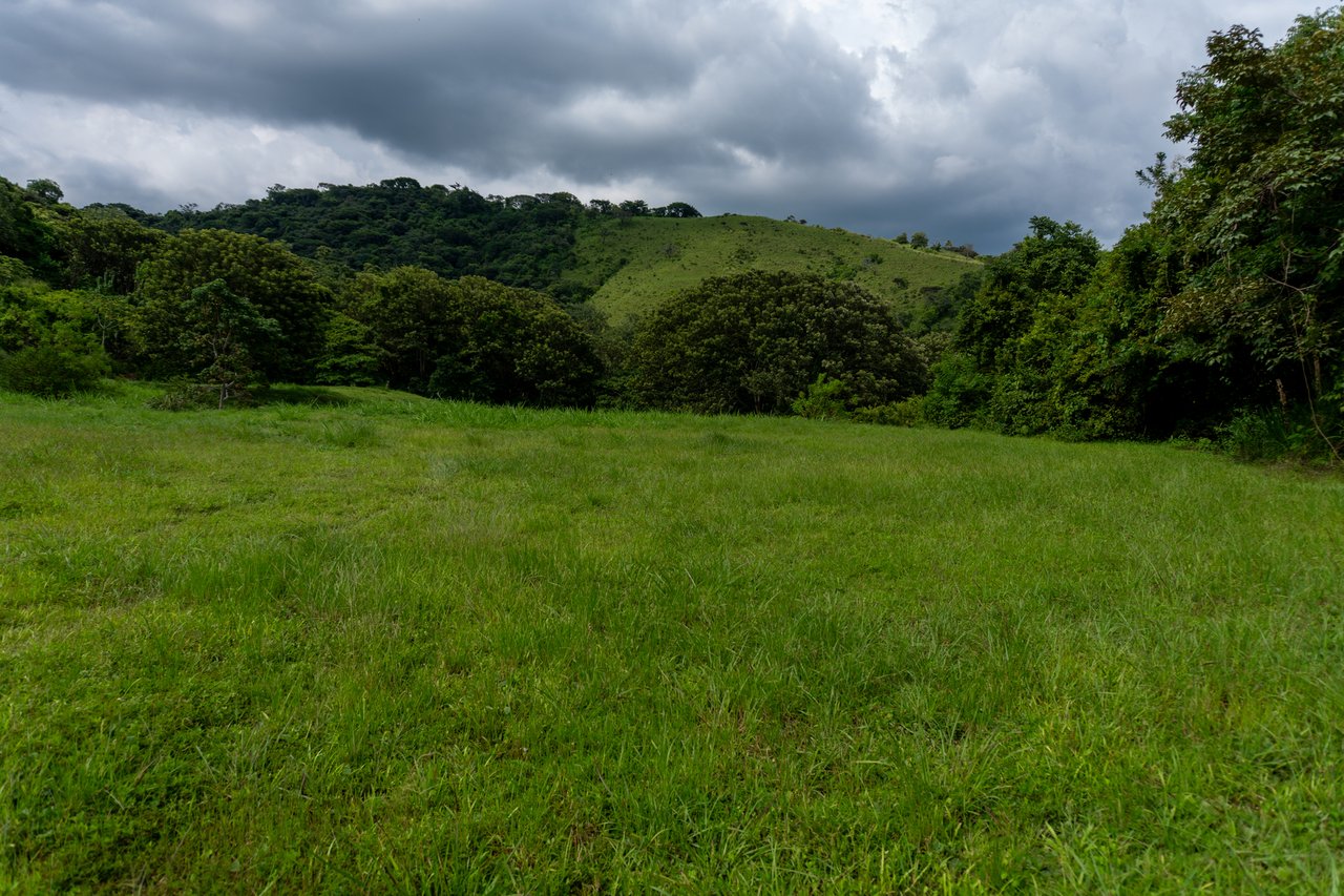 Subdivided Mountain View Land, Atenas, Alajuela