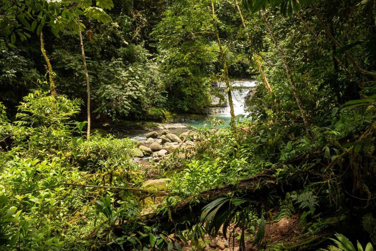 16.5 Acre, First Ridge, Fantastic Ocean Views, Private Swimming Holes