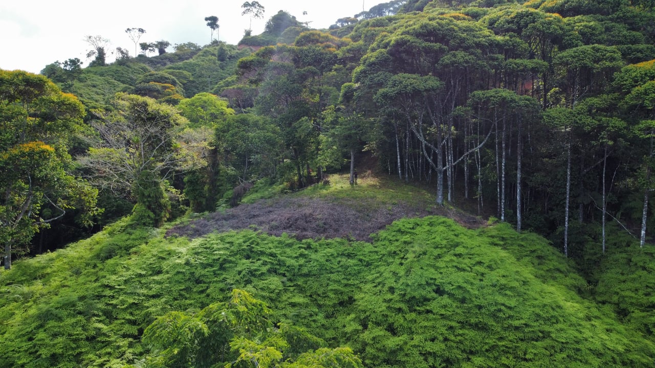 Ocean View Lot in the Exclusive Uvita Mountains. 