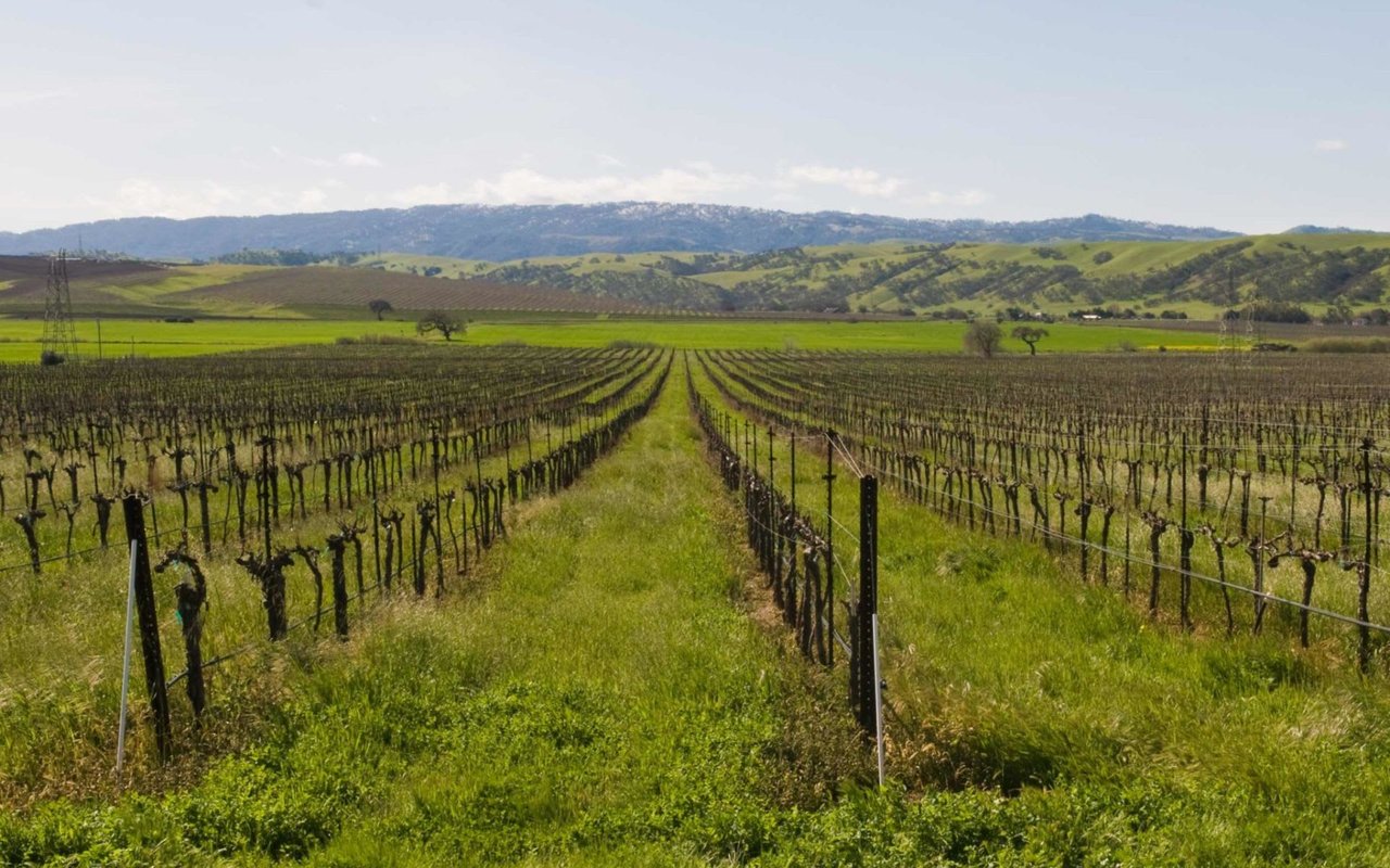 Livermore
