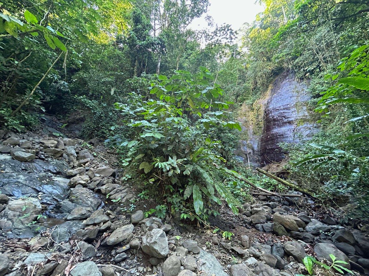 FINCA SINAI DE OSA