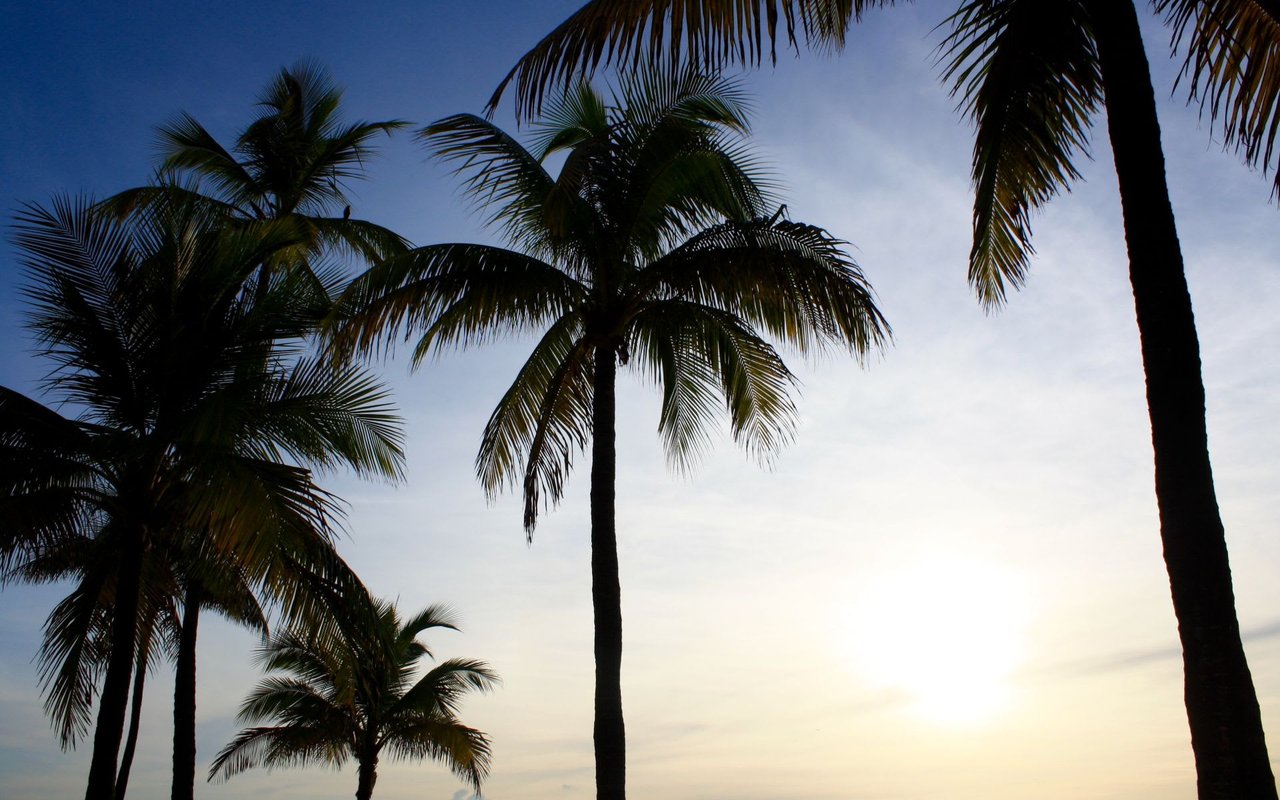 Fort Lauderdale Beach