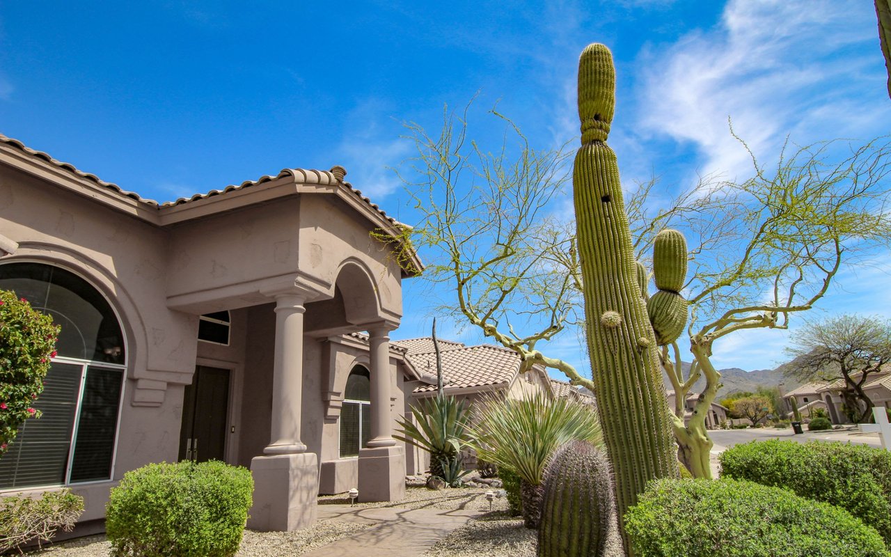 Cactus Corridor