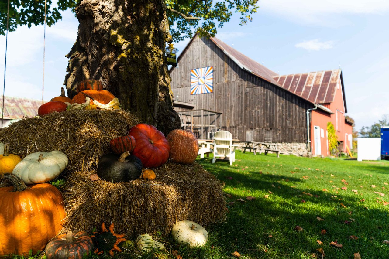 The Best Things to Do This Fall in Haliburton & Kawartha Lakes