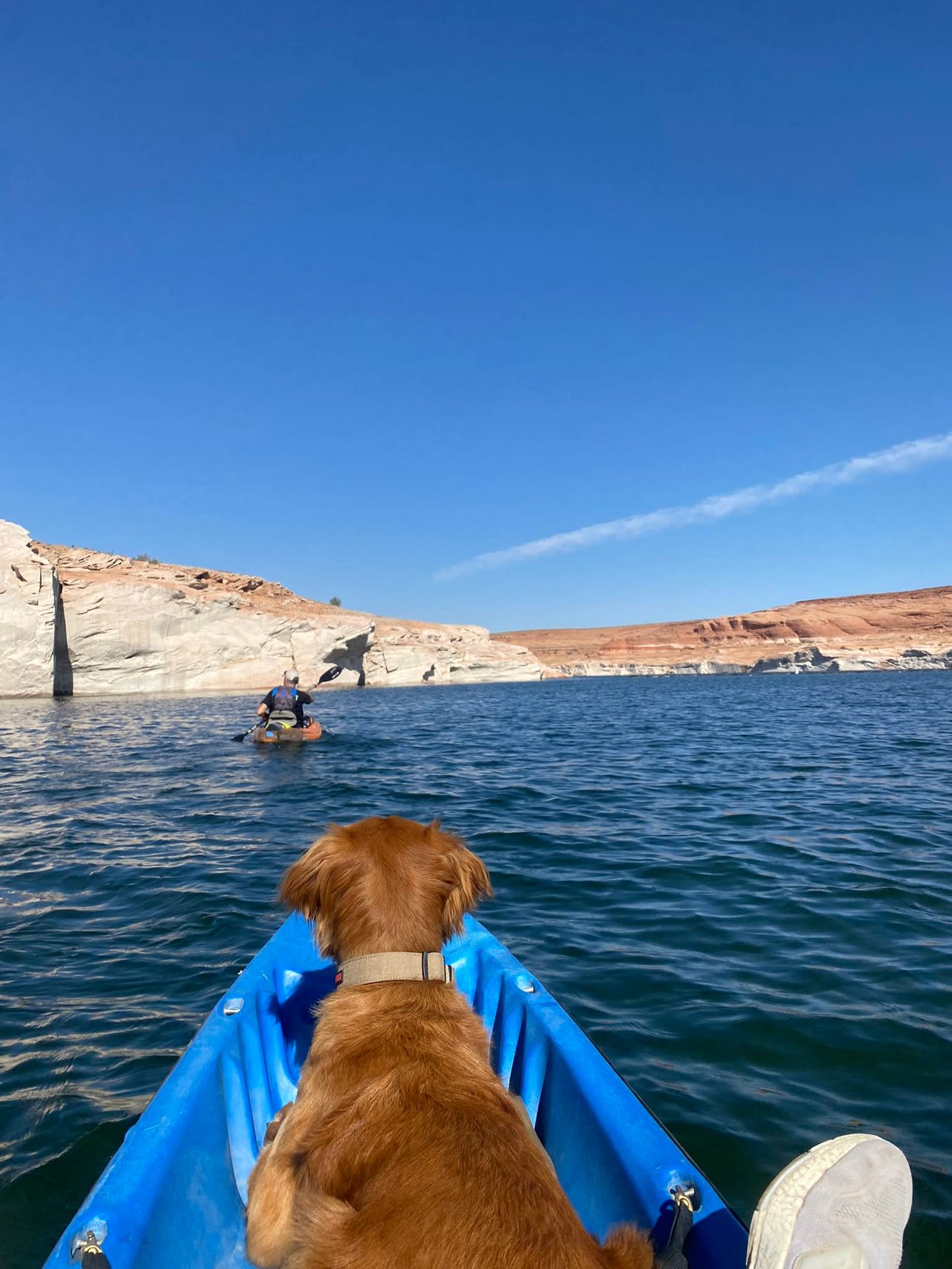 National Parks Trip with Ella and Herc