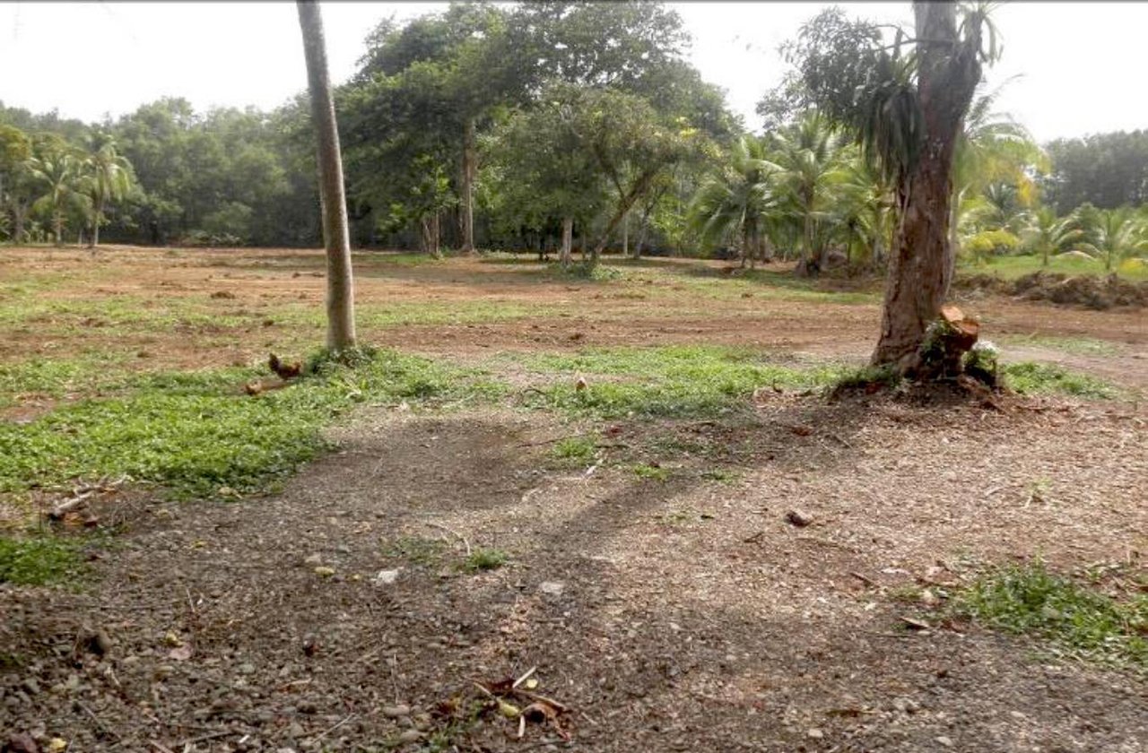 Quepos Commercial Property