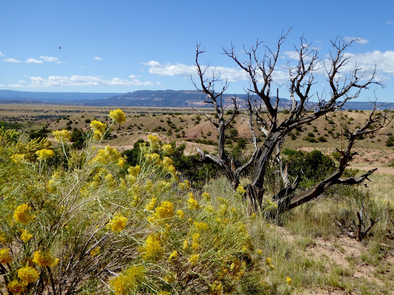 Abiquiu Area