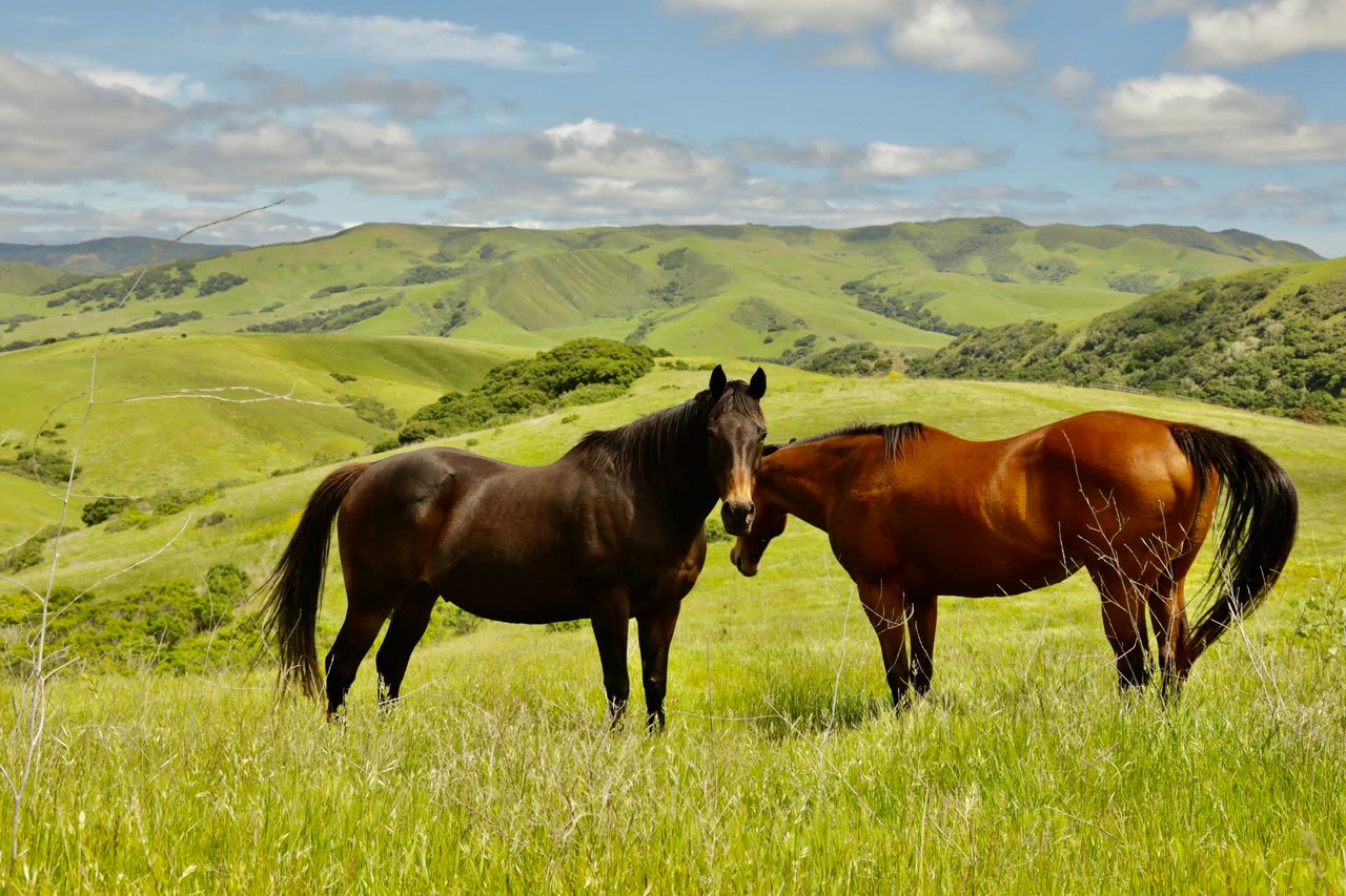 La Hoya Creek Ranch