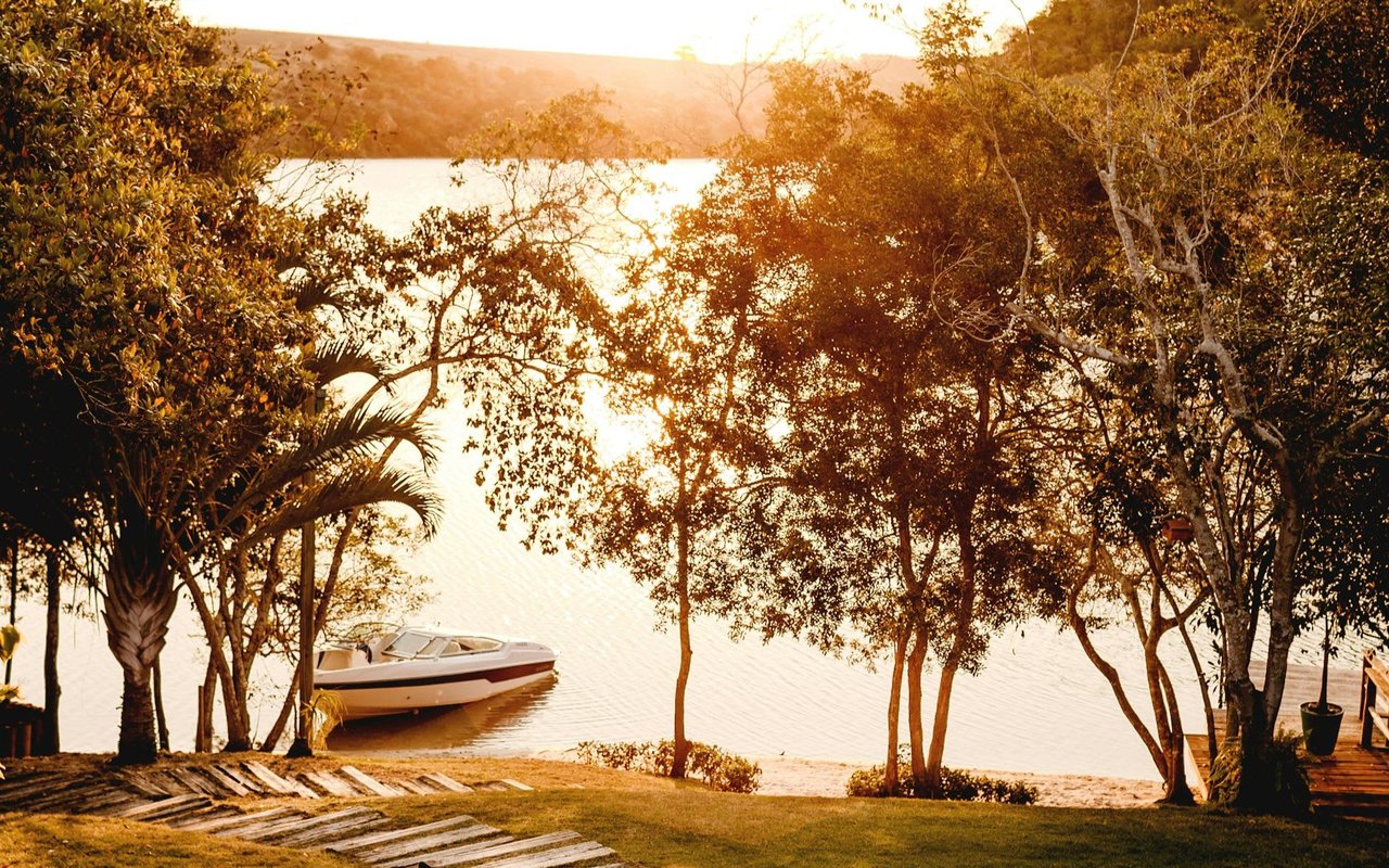 Back to the Backyard