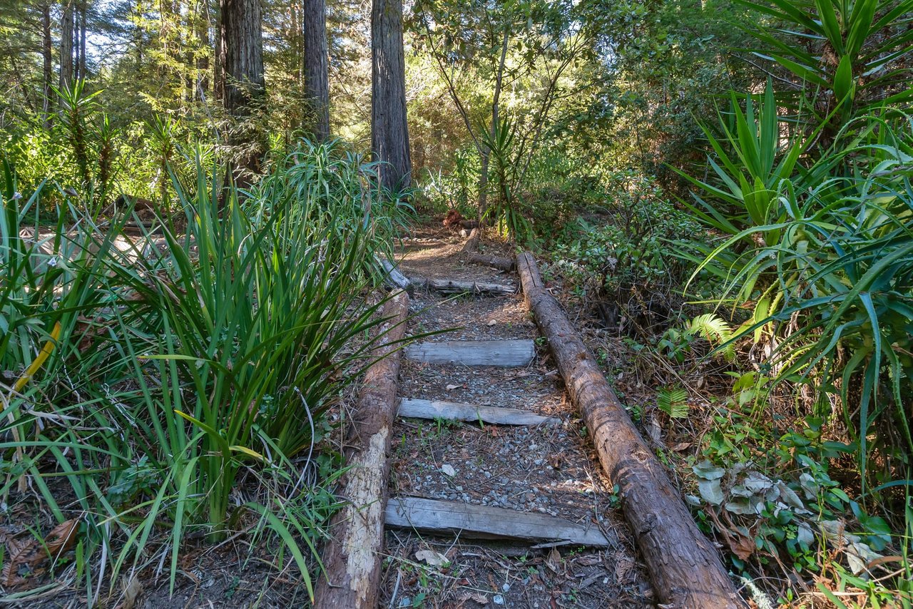 6121 Fern Flat Road