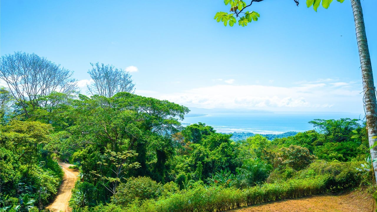 Flat Ocean View Building Lot, Ojochal, Puntarenas