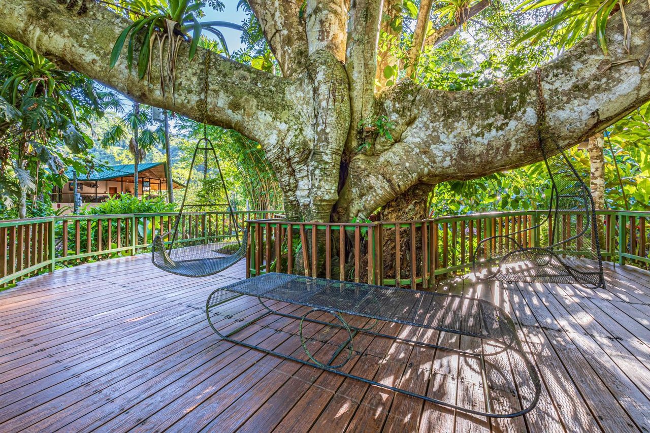 Uvita, Jungle Retreat Center on the Uvita River. Private and 17 Acres