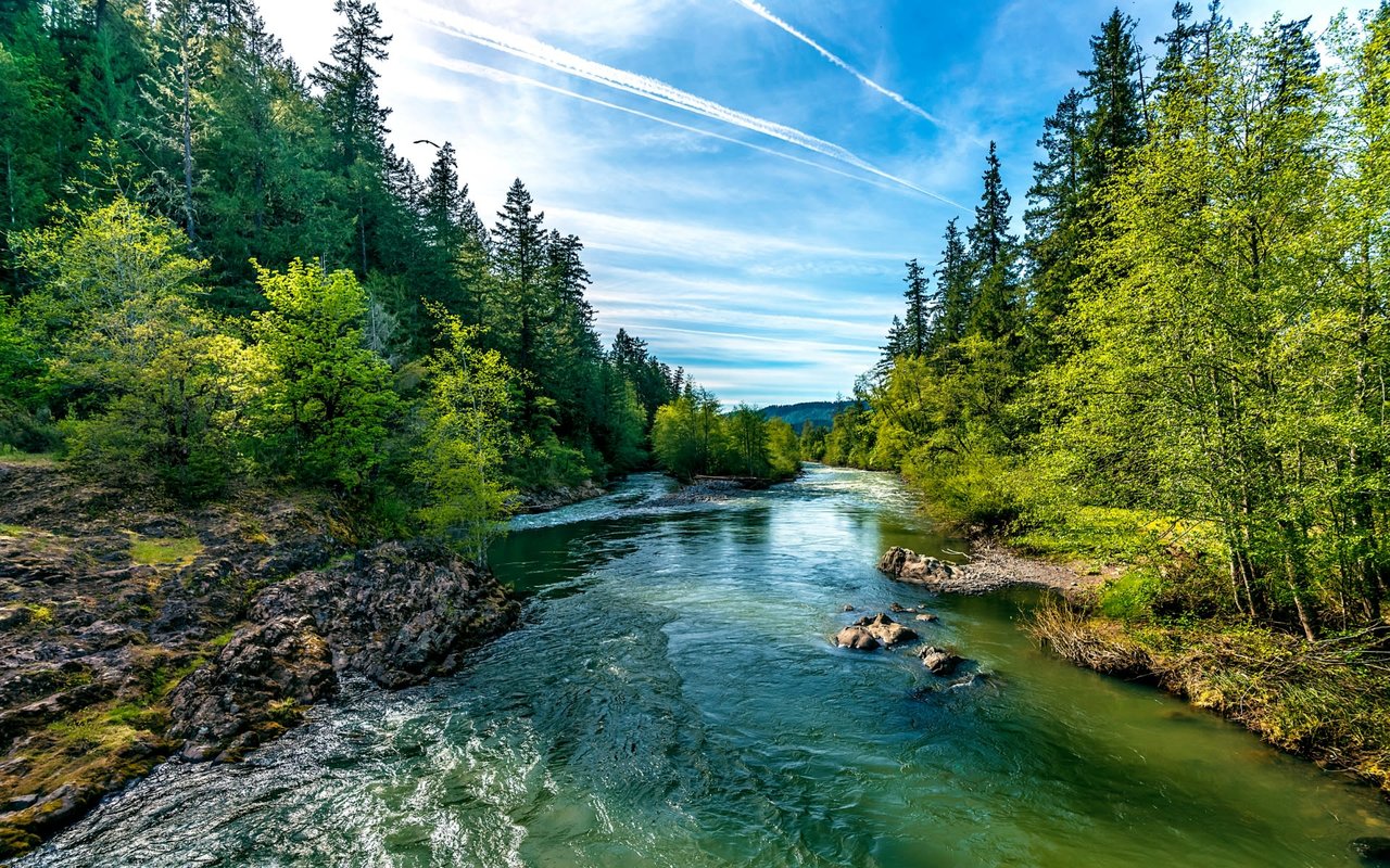 pacific northwest waterway in Bethany, OR - rocks and trees line green, fast-moving water