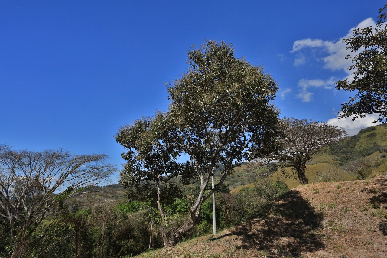 Ocean View Development Land, Atenas, Alajuela