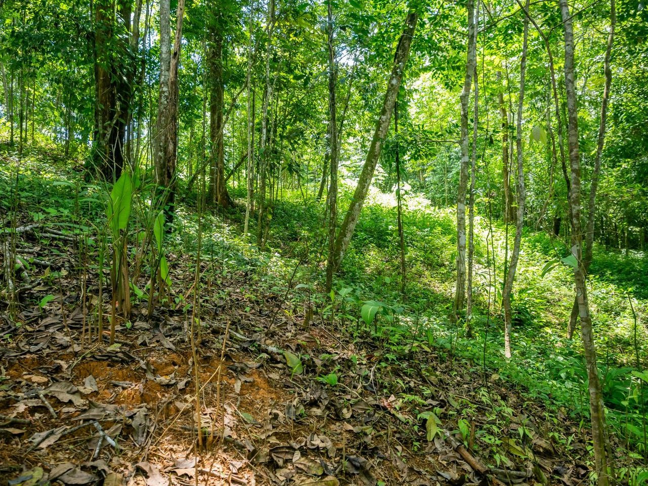 Riverfront Development Land, Ojochal, Puntarenas