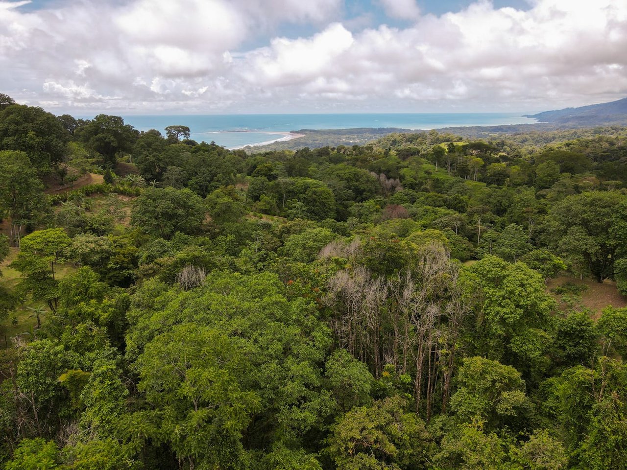 Casa Selva Sustainable Living 