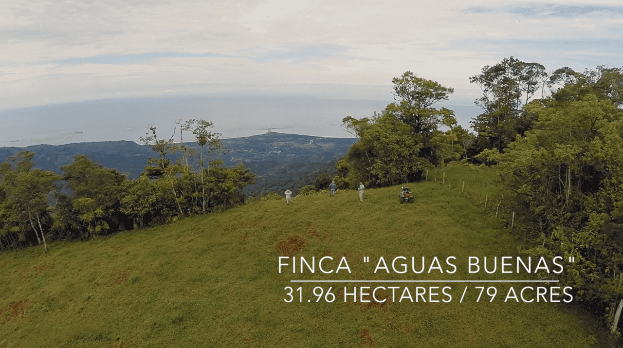 79 ACRES – Amazing Farm On Ridge Top With Whales Tail Ocean Views And 800 Exotic Tropical Fruit Trees!