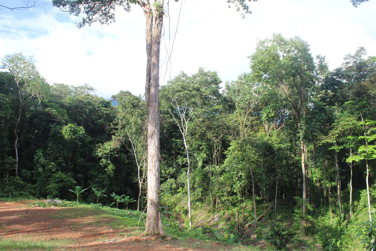 River Frontage Lot close to Uvita