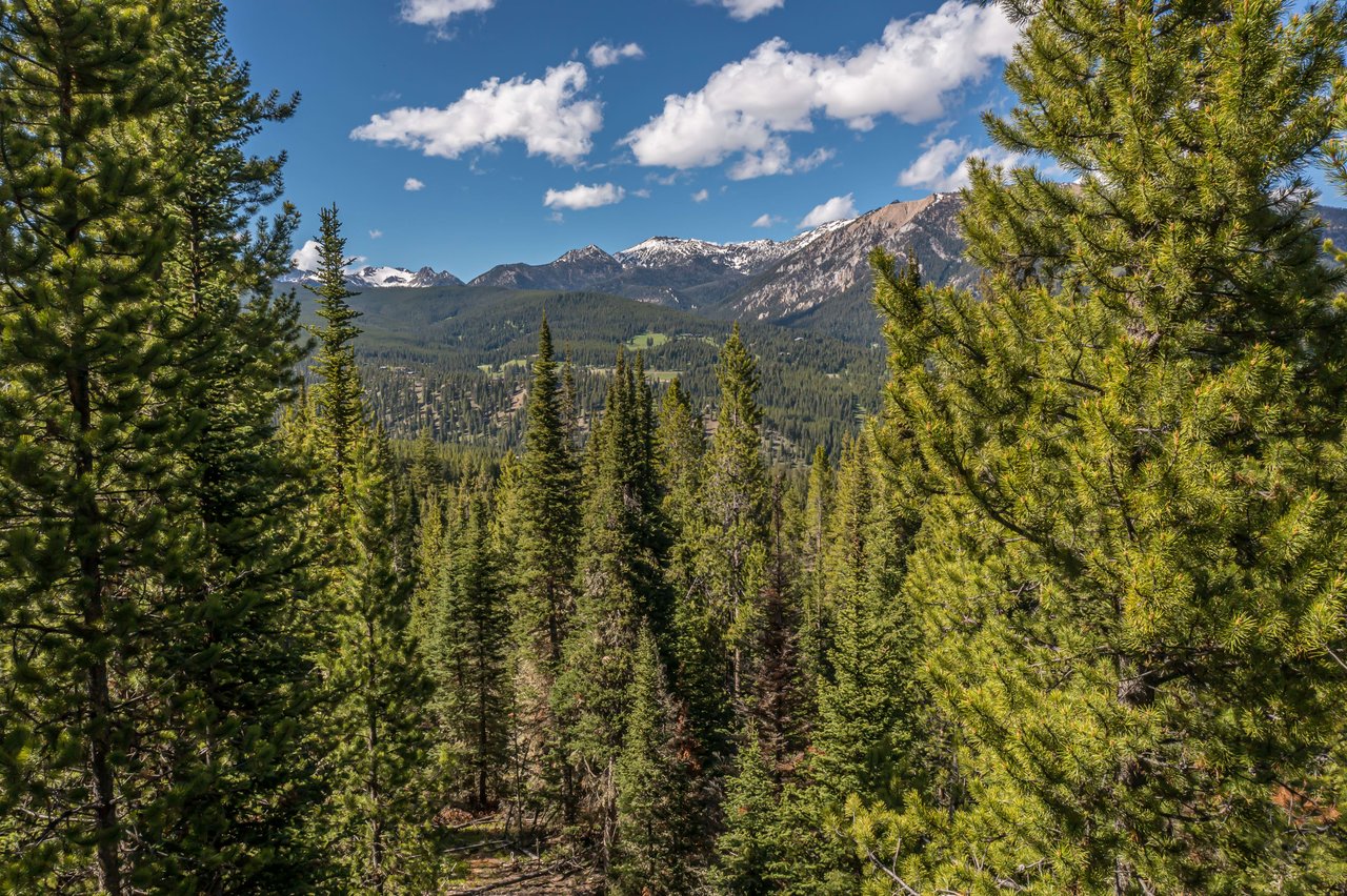 Big Sky Meadow Village