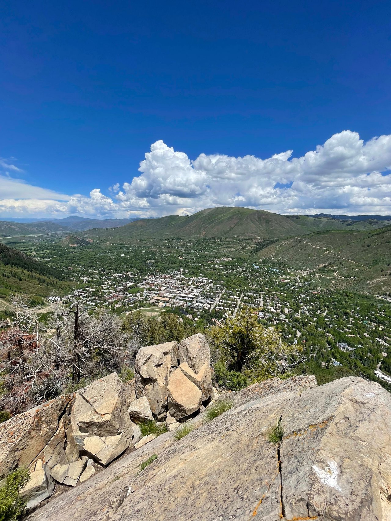 Hiking Aspen Trails - Ute Trail