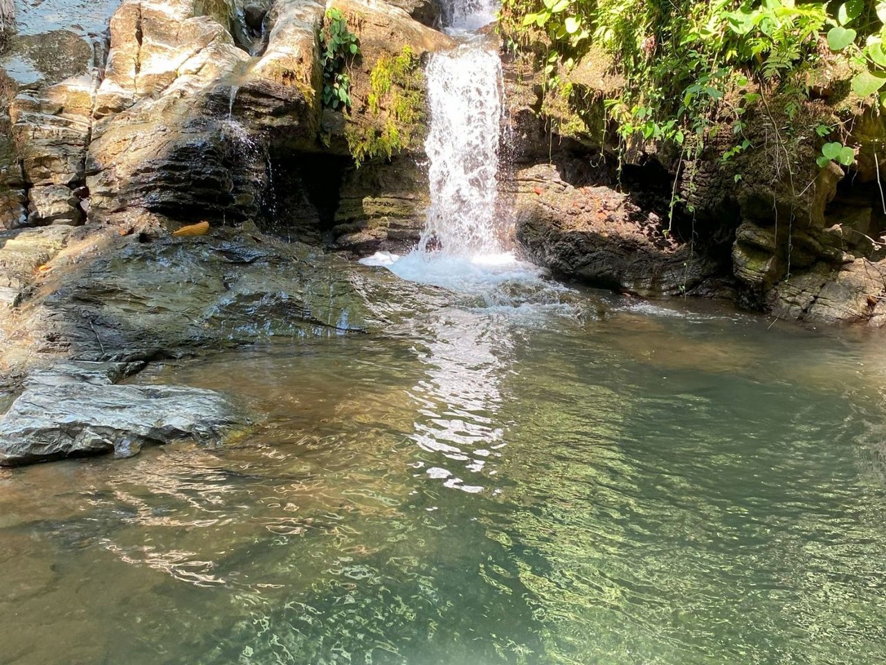 Mountain River View Farm, Osa, Puntarenas