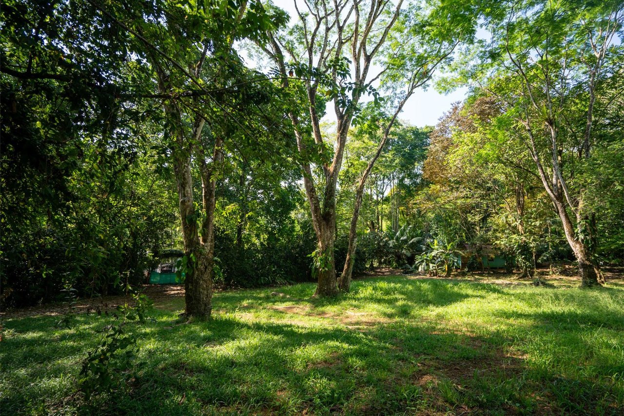 Private Ocean View Development Lot, Dominical, Puntarenas