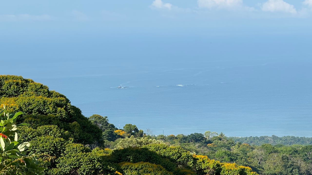 Ocean View Lot in the Exclusive Uvita Mountains. 