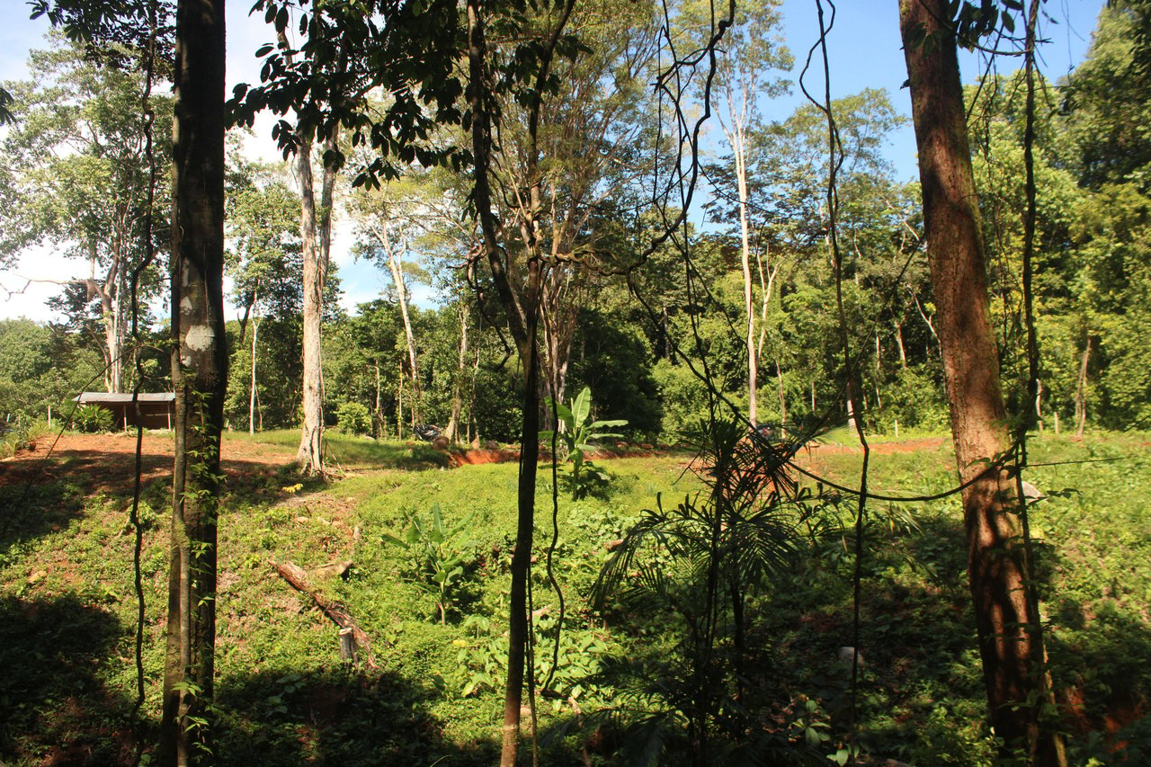 River Frontage Lot close to Uvita