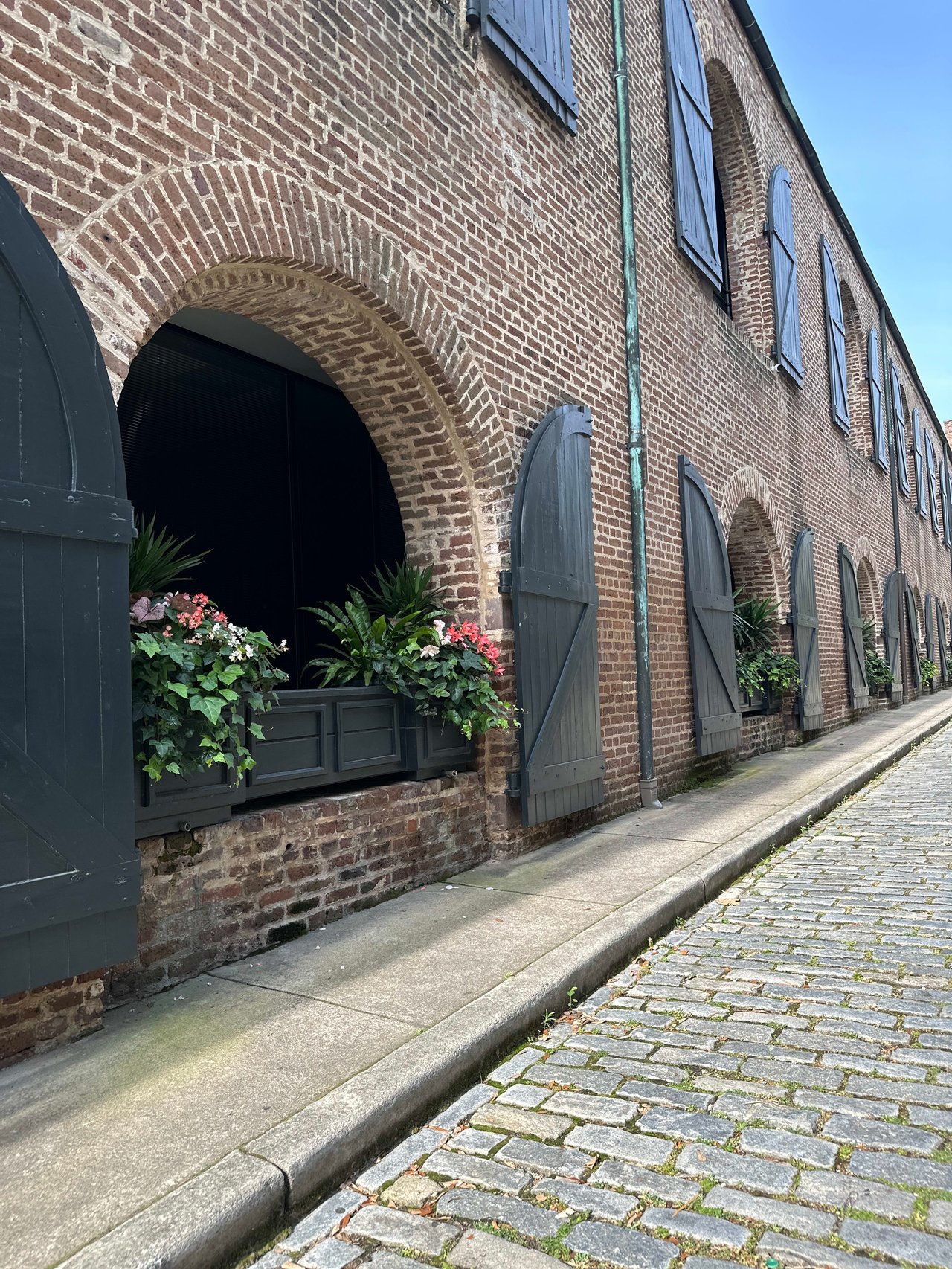 Unveiling Charleston's Rental Market