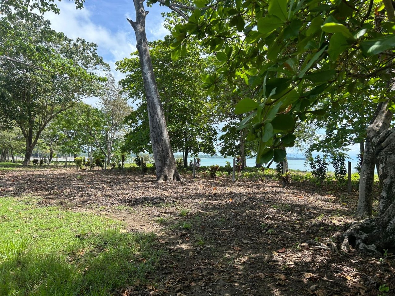 Titled Beachfront Development Land, Osa, Puntarenas