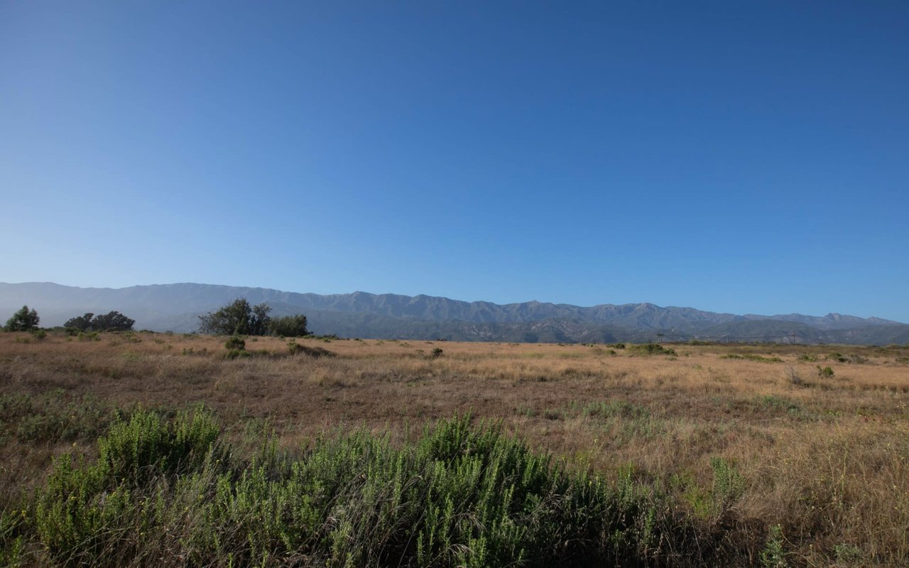 Carpinteria