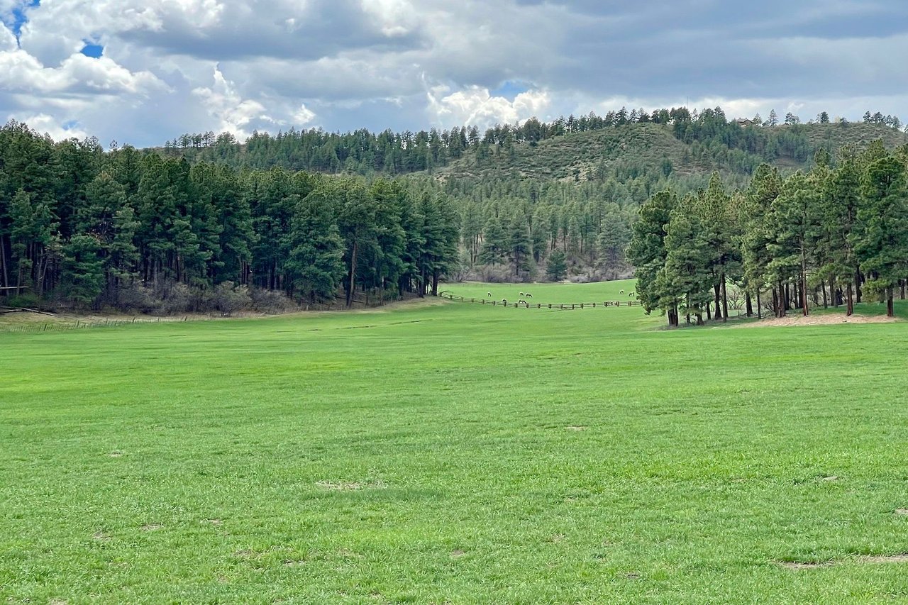 Pine Ridge Ranch