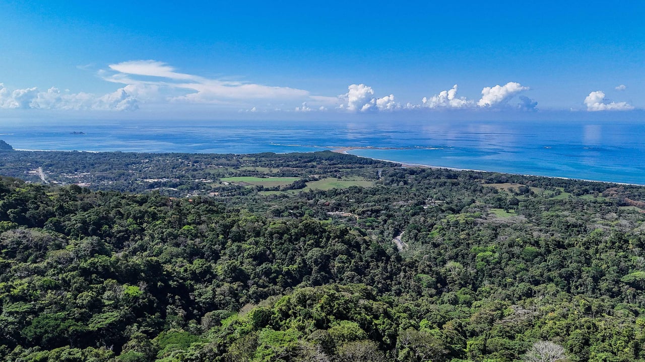 A prepared, 1.5 Acres jungle immersed lot with spectacular views of the Whale’s Tail. 