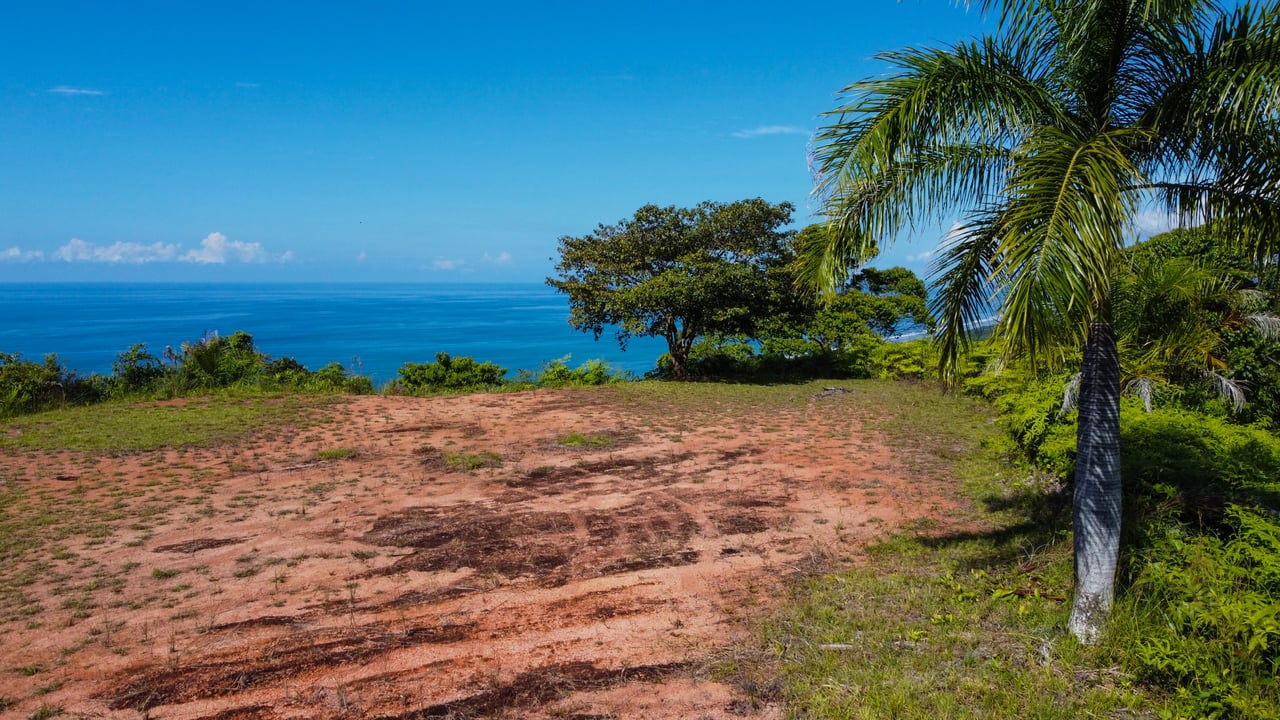 MANGO MANOR RIDGE PREMIER OCEAN VIEW PROPERTY IN DOMINICAL