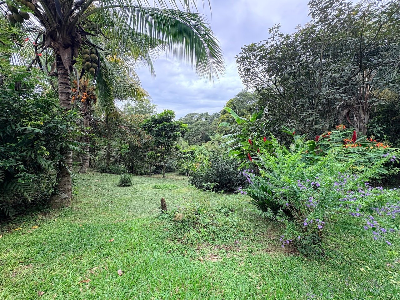Private Garden Estate Pool, Alajuela