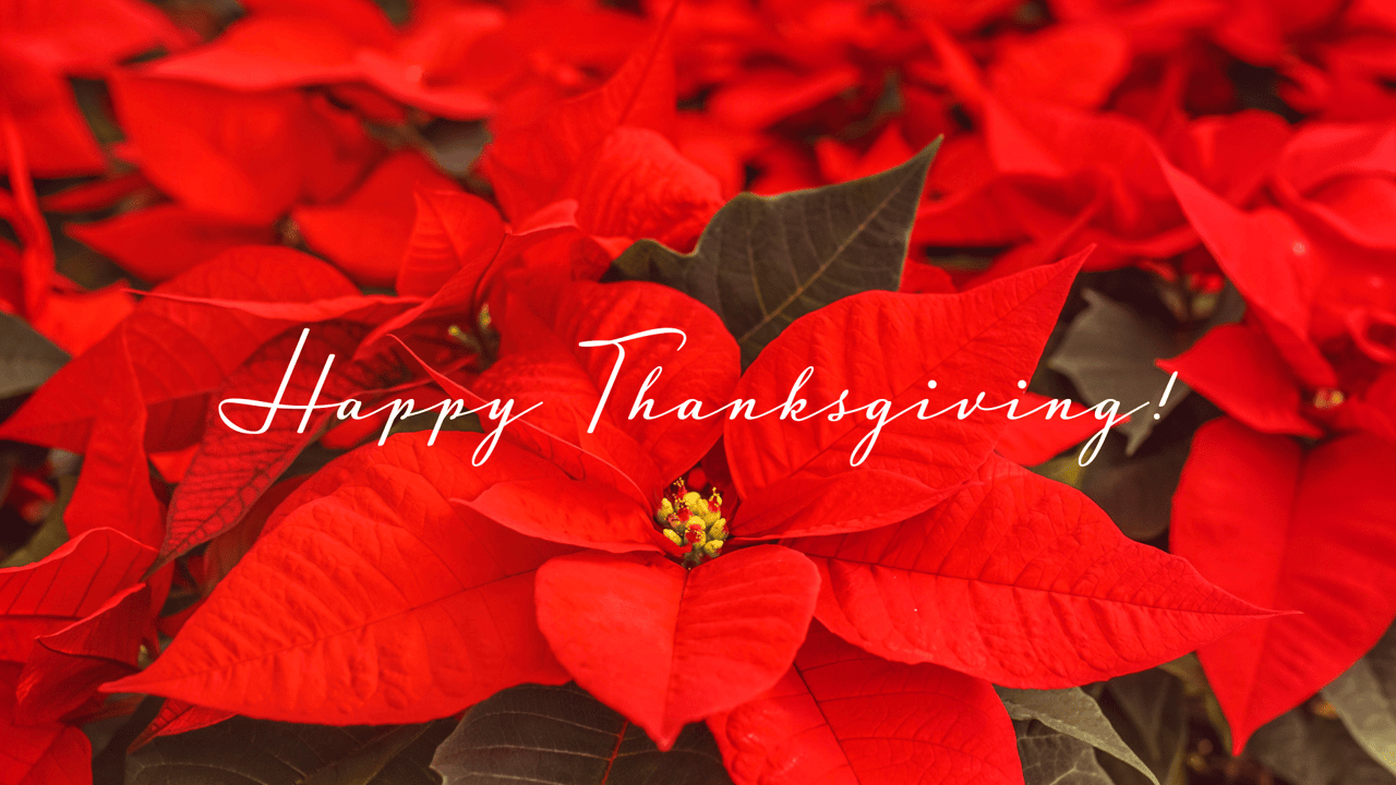 Happy Thanksgiving – Sending a Warm Aloha!