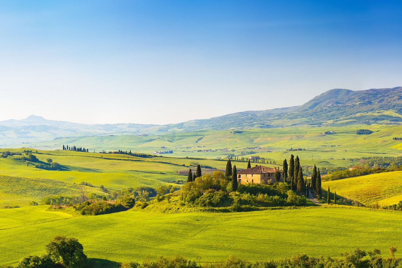 Under the Tuscan Sun