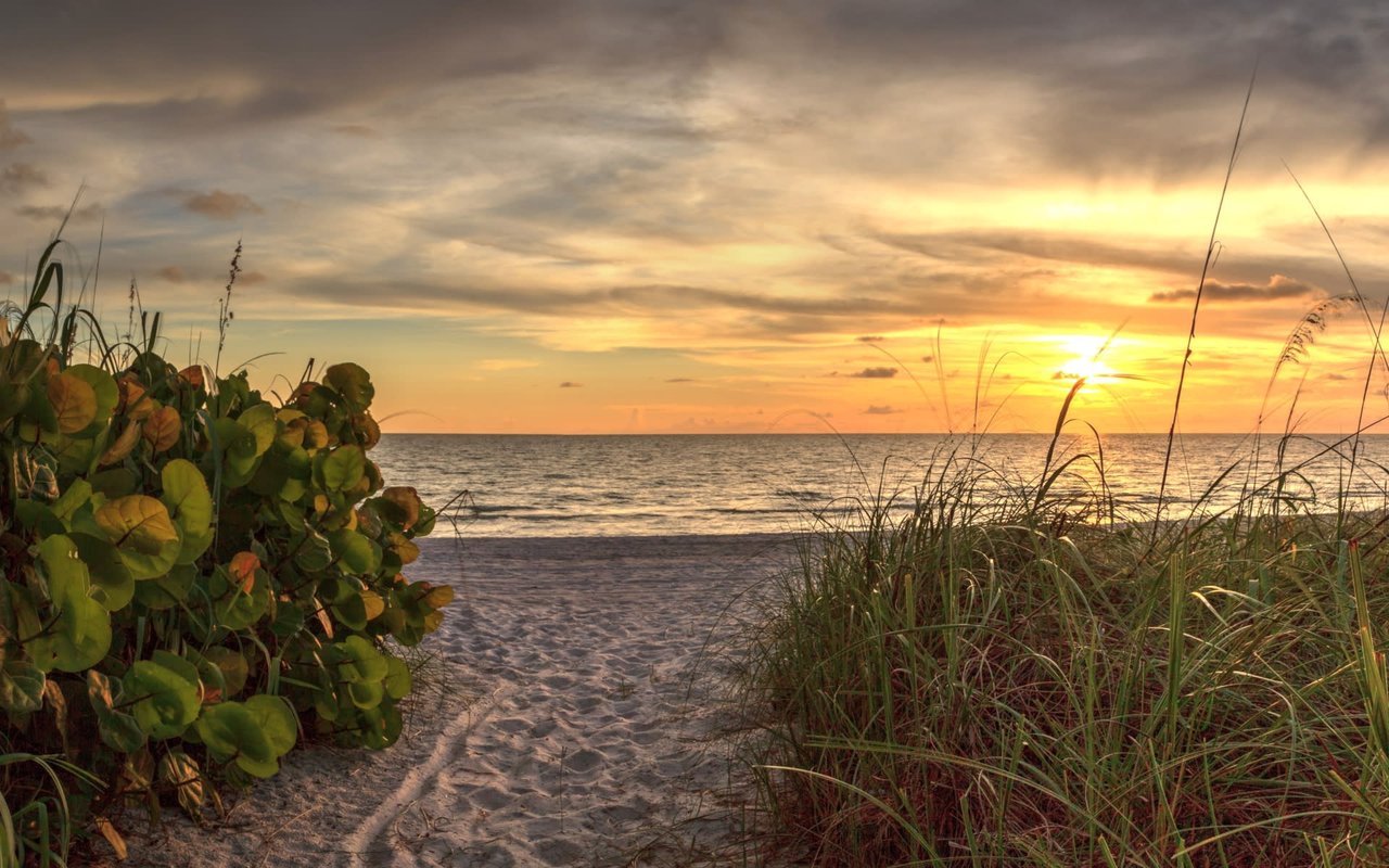 COQUINA SANDS