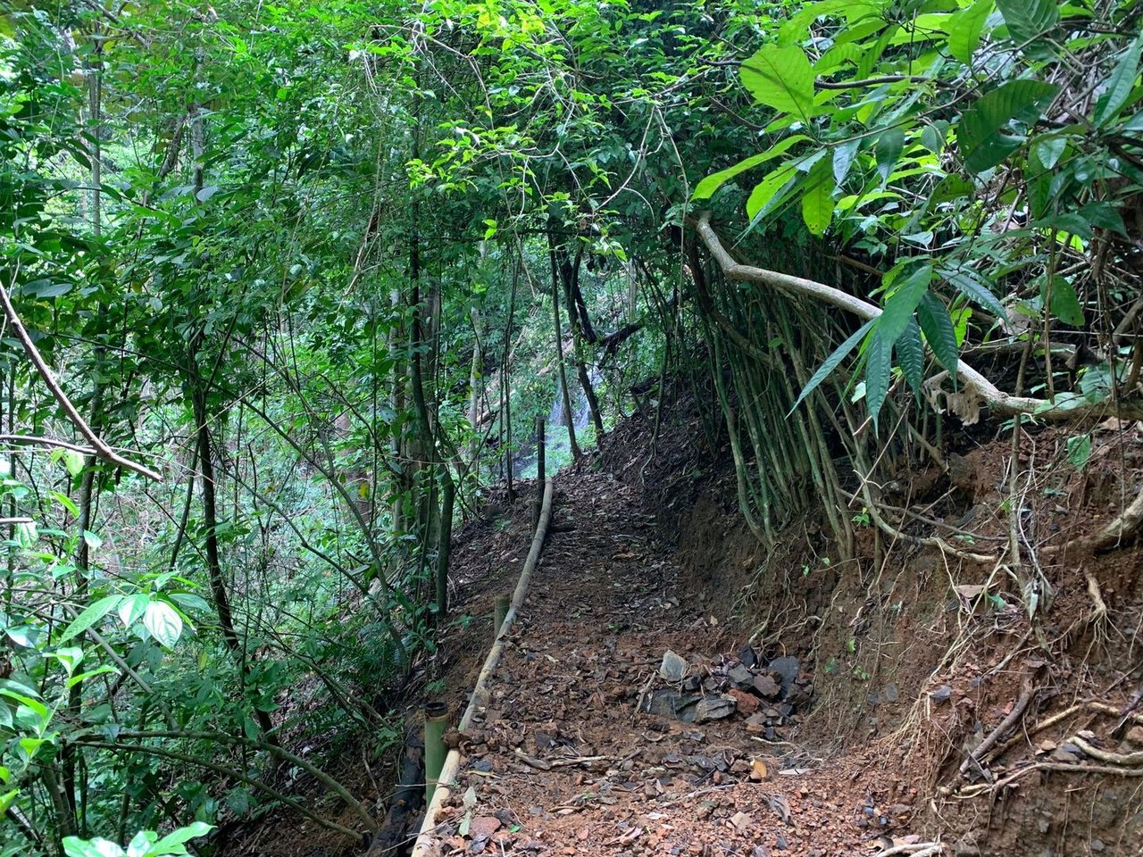 Triple Waterfall Ocean View Land, Dominical, Puntarenas